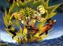 broli.jpg